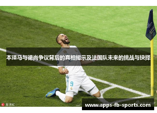 本泽马与德尚争议背后的真相揭示及法国队未来的挑战与抉择