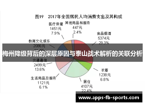 梅州降级背后的深层原因与泰山战术解析的关联分析